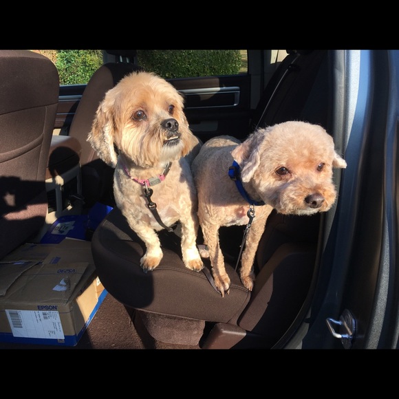 Meet your Posher, Pat - Picture 1 of 1